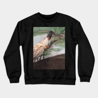 Intriguing Storks Crewneck Sweatshirt